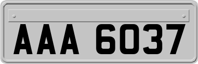 AAA6037