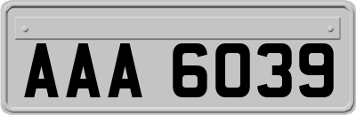 AAA6039