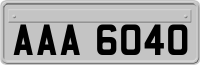 AAA6040