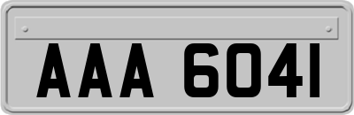 AAA6041