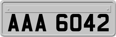 AAA6042