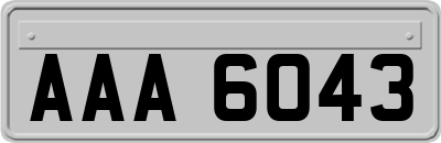 AAA6043