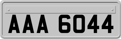 AAA6044