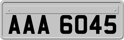 AAA6045