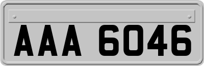 AAA6046