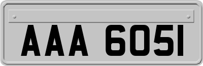 AAA6051