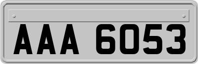 AAA6053