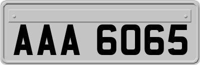 AAA6065