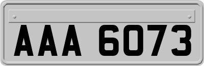 AAA6073