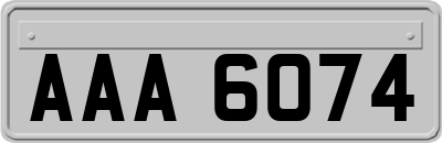 AAA6074