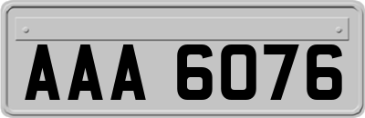 AAA6076