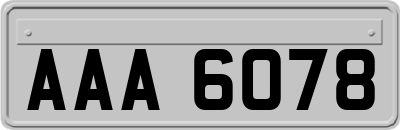 AAA6078