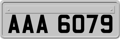 AAA6079