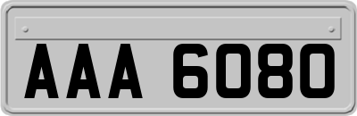 AAA6080