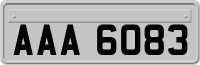 AAA6083