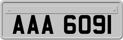 AAA6091