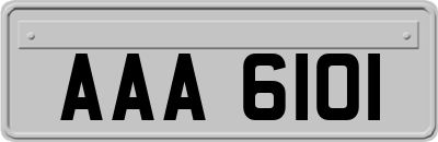 AAA6101