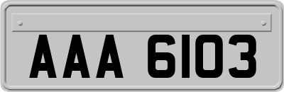 AAA6103