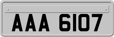 AAA6107