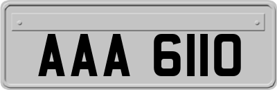 AAA6110