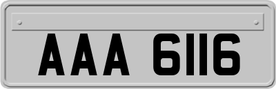 AAA6116