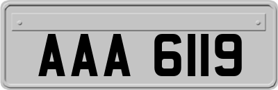 AAA6119