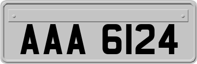 AAA6124