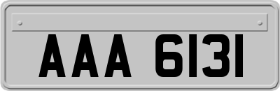 AAA6131