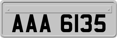 AAA6135