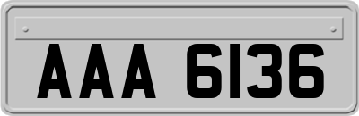 AAA6136