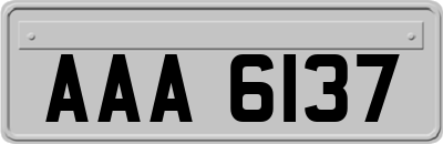 AAA6137