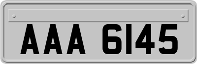 AAA6145