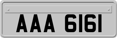 AAA6161