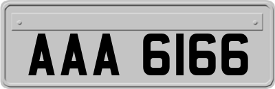 AAA6166