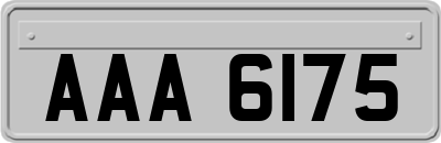 AAA6175