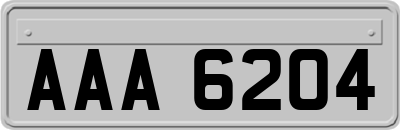 AAA6204