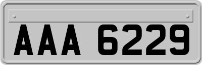 AAA6229