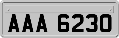 AAA6230