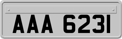 AAA6231