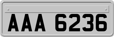 AAA6236