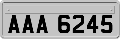 AAA6245