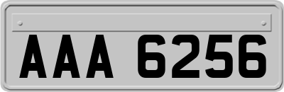 AAA6256