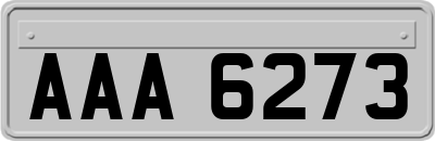 AAA6273