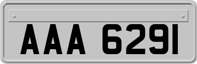 AAA6291