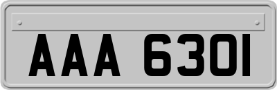 AAA6301