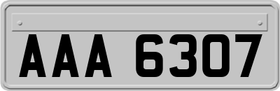 AAA6307