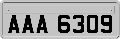 AAA6309