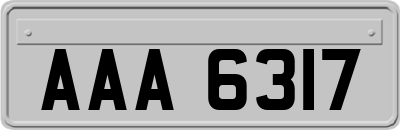 AAA6317