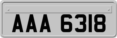 AAA6318