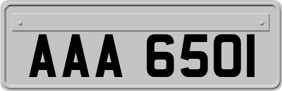 AAA6501